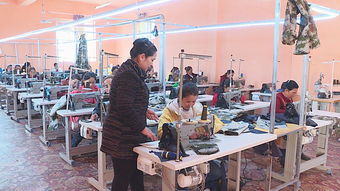 筑巢引鳳 墨玉招商